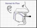 Circular Breathing