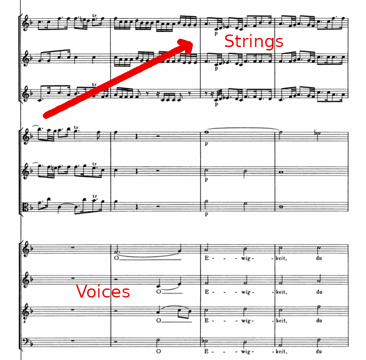 Cantata 20