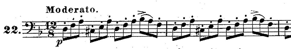 Weissenborn 22