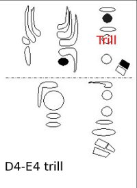 D4-E4 trill