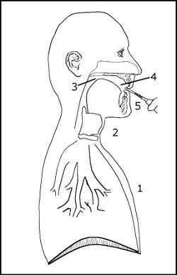 Five Components