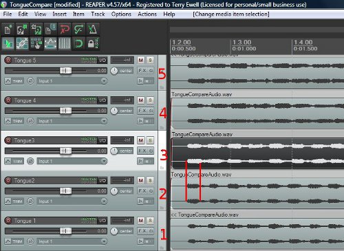 Articulations 2 and 3