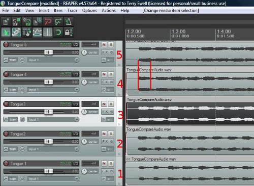 Articulations 4 and 5