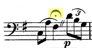 Fermata